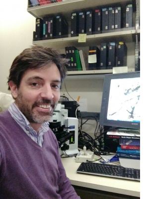 Antonio Pinto-Duarte