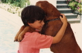 image006